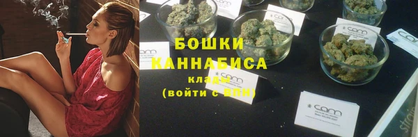 ГАЛЛЮЦИНОГЕННЫЕ ГРИБЫ Остров