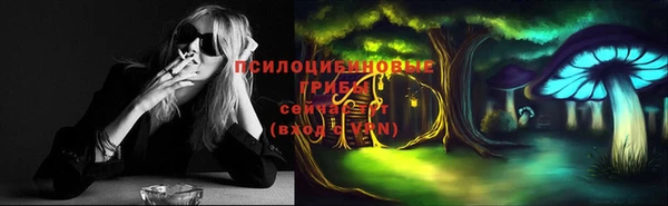ГАЛЛЮЦИНОГЕННЫЕ ГРИБЫ Остров
