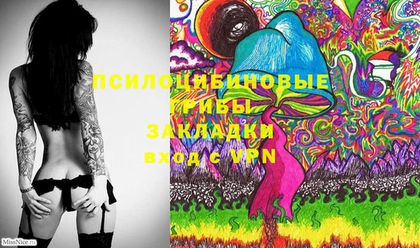 ГАЛЛЮЦИНОГЕННЫЕ ГРИБЫ Остров