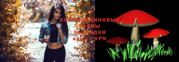 таблы Осташков
