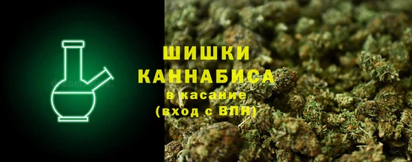 ECSTASY Осинники