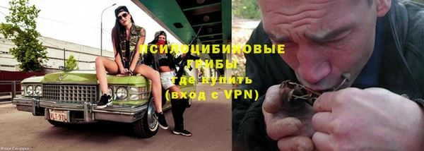 ECSTASY Осинники